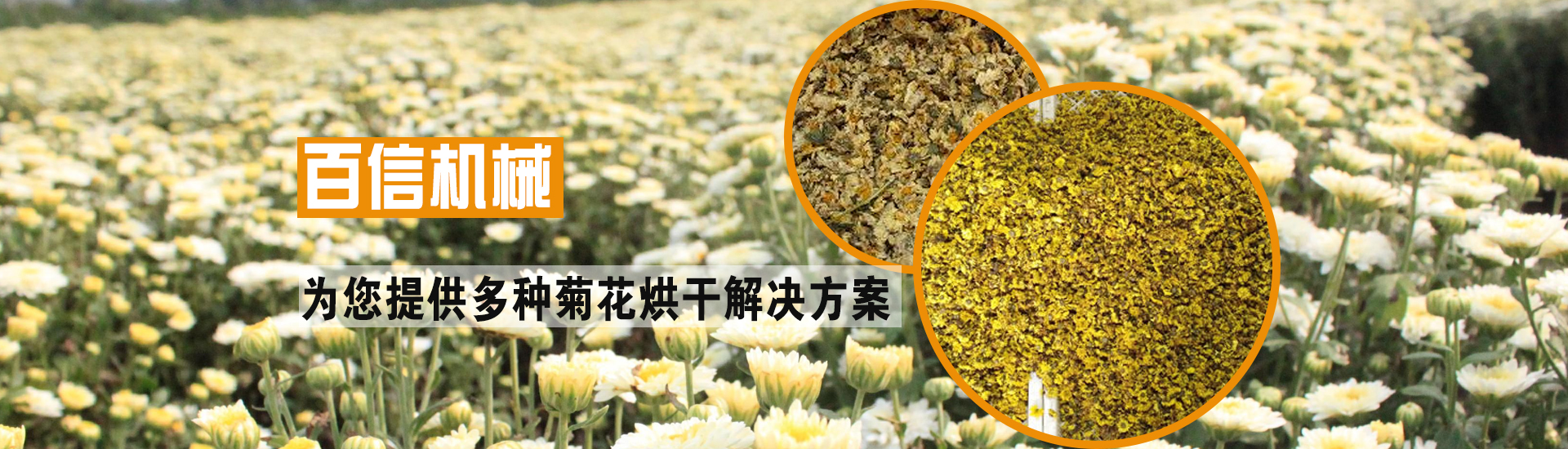 PC端幻灯一