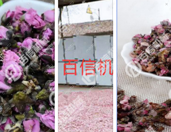 桃花烘干机