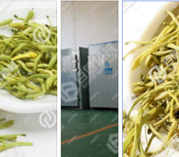 菊花烘干房