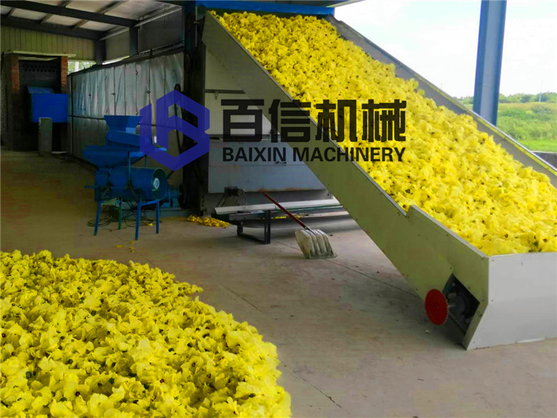 菊花烘干机价格