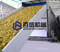菊花烘干机厂家教您如何选择热源